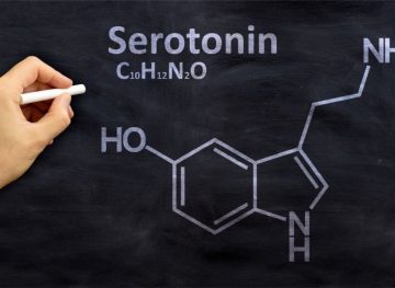 Neurotransmitery #2 Sérotonín: ako zlepšiť svoju náladu a športový výkon