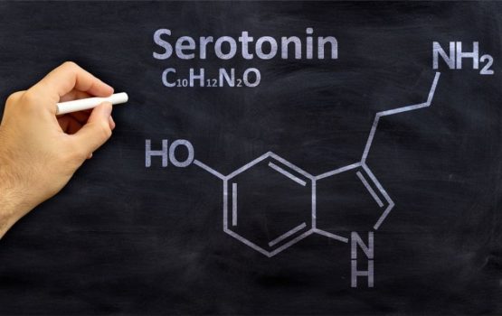 Neurotransmitery #2 Sérotonín: ako zlepšiť svoju náladu a športový výkon