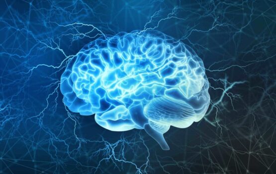 Vplyv mozgu na svalovú silu: Prečo tvoje myšlienky menia všetko