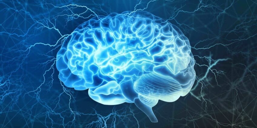 Mozog ovláda celé telo a aj svaly